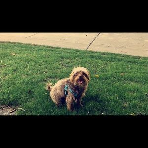 Meet your Posher, Ella